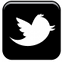 follow us